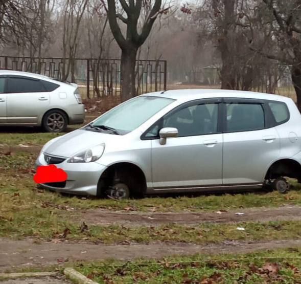 ��� ���� ������� ������ � �������� �� ���������