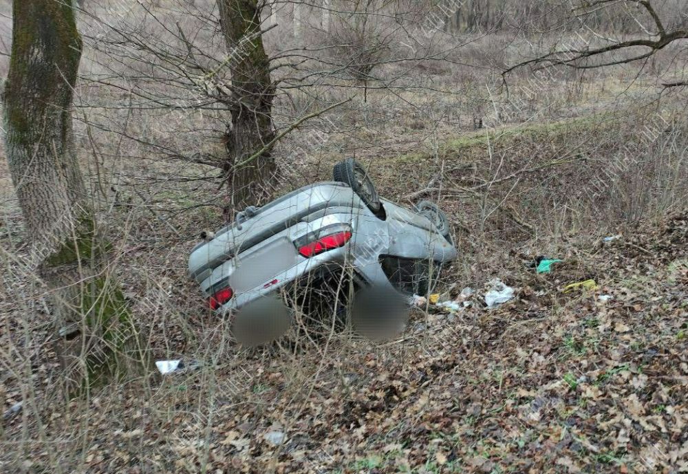 �������� - �������. �� ������ ������� - ������� ������� ������� � ������ � �������� � ������, ������ ��������� � ������. ��� ������ ��������� �����, ����� ���. ��� ������� � ���������������� ��������������