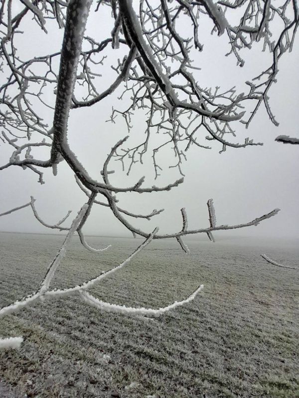 �����������. ������ �� ������ �������������