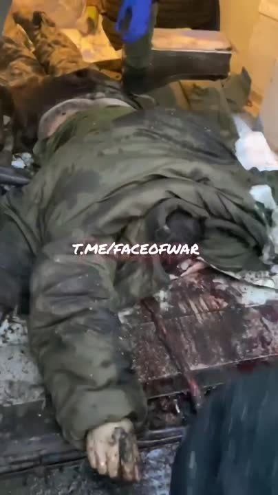 ��������� ������� ��������� ���������� �� ���������� �������� � ��������� ��������/�������� ������ ���, ������ 2023 ����, ����� ������ ����������