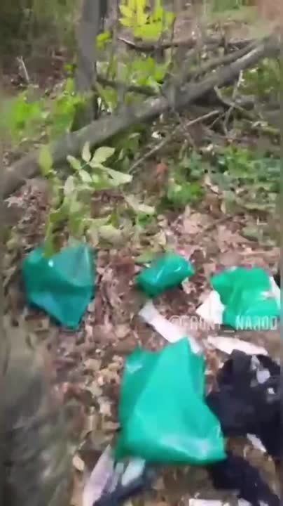 �� �� ��������� ���� �� ��������� ���. � ���� ������ ���� ���������� �������