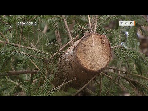 �������� ������, ������� ������ � ��� �� ��������, ������ �� �����. ����� � ������ ����� ��� ������, � ������, ����� ��...