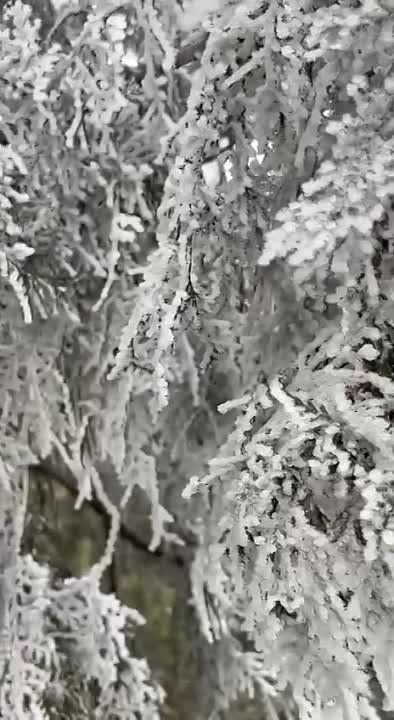 ��������� ��������. ����� �� ����������