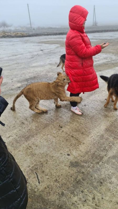 ���������� ����������� � ���������� ���� ������, ����� ��������� ����, �������� ����� �����