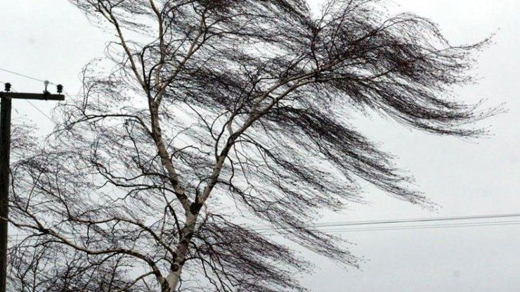 ��������: ������� �����!