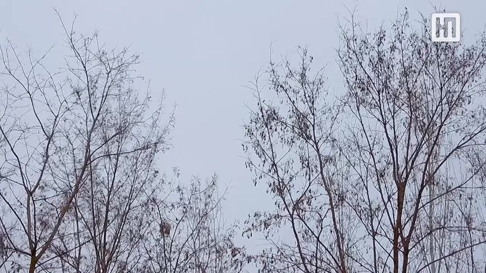 �������������: ������� ��������� �������� ����� � �������� �� 16 �/���