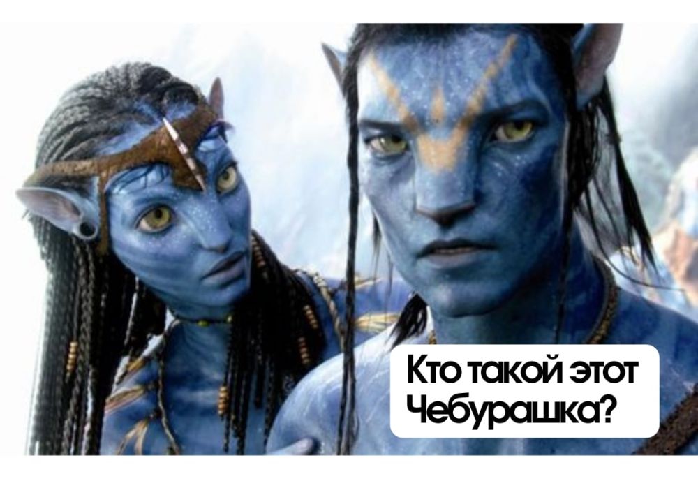 ������ ������ � �����: � ��� �������� ������ �� ���������� ��������� ��� ������� �� ������ ������