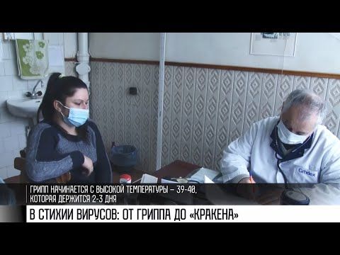 ������� �����������, ������, �������� � �� ������. ����� ������ � �������������. ���� ����������� 9 �������. ���� � ���� ��������� � ������� ������ ���������� � �����