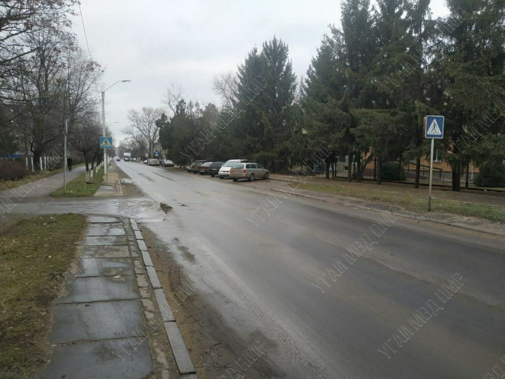 ��� � ������� � ���������: ����� ��������� � ��������