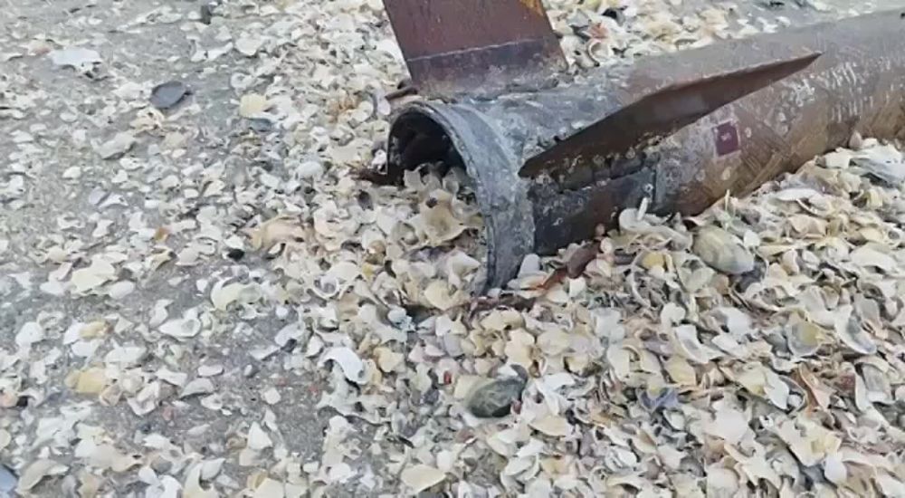 � ������� ��������� �� ����� ��������� �� ������, � ������� ���