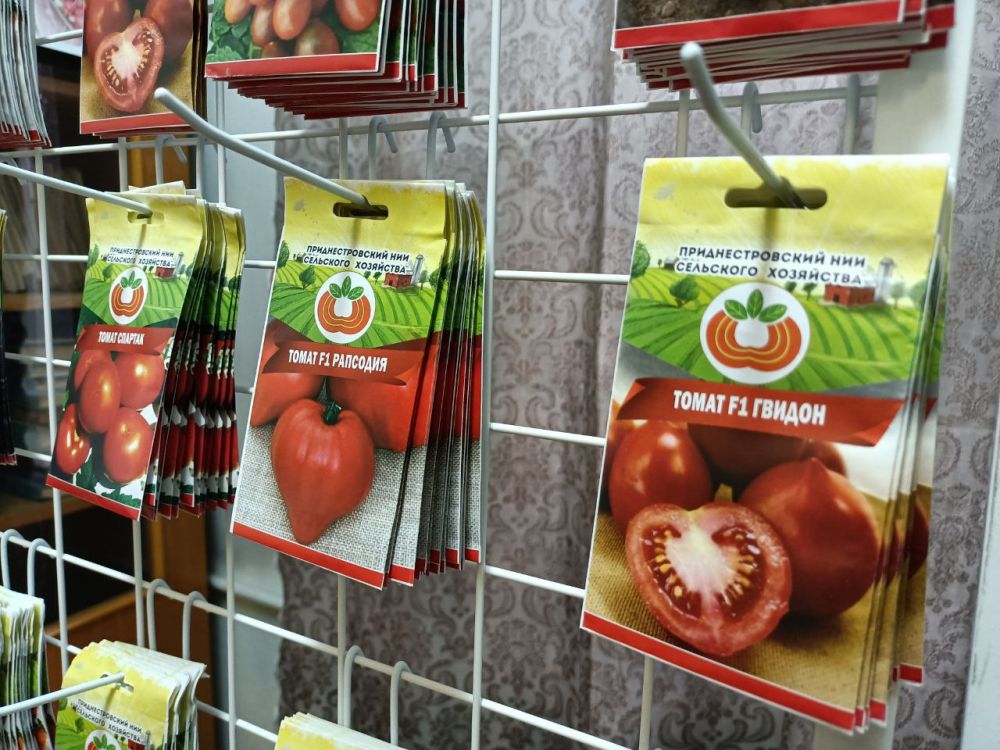 ��� ��������� ��������� ����� �������� ���� ������ � ����� ��������