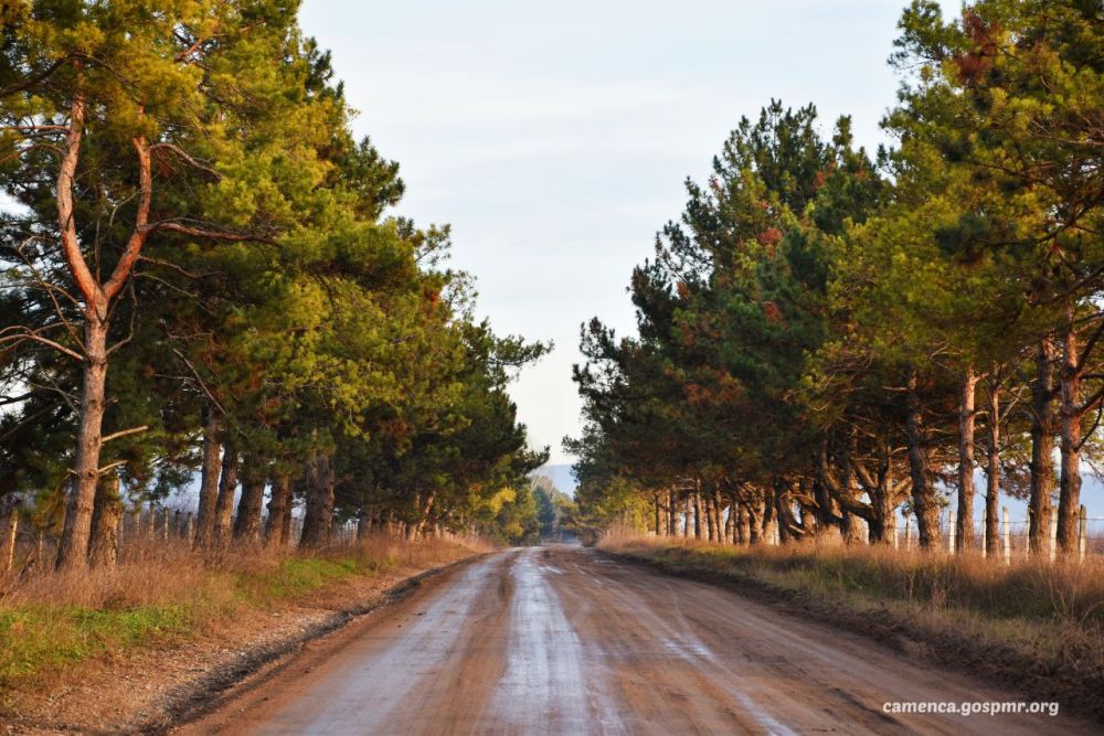 ������ ���������� ������� � ���������� ����������