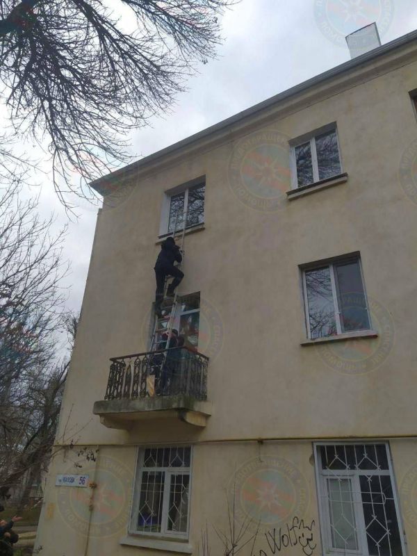 ��������� ������� ����������� � �������� ��������