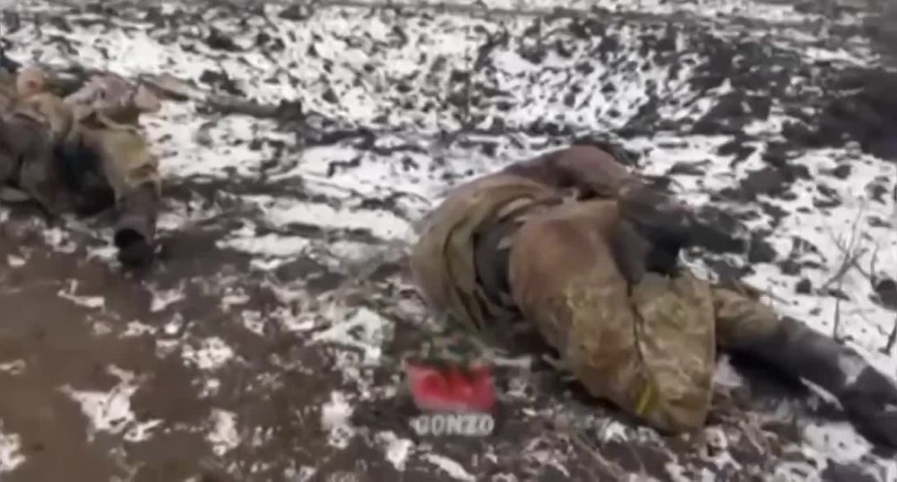 ��� ���� ������ ���������� ��������������, ������� ������ ������ � "���������" �� �����