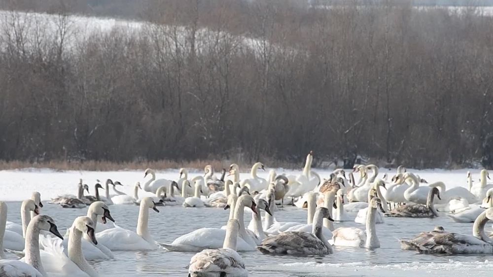 ����� 5 ��� ����� �� ������ ������������� �������� ���� �������