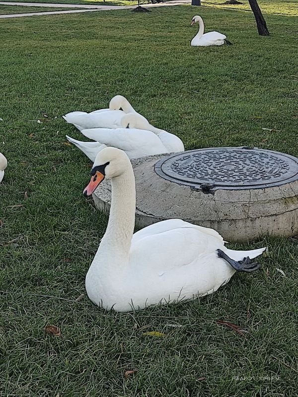 ������ � ������ ������� ��������� ��������� �����