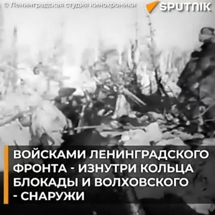 80 ��� ����� ���� �������� ������� ����������