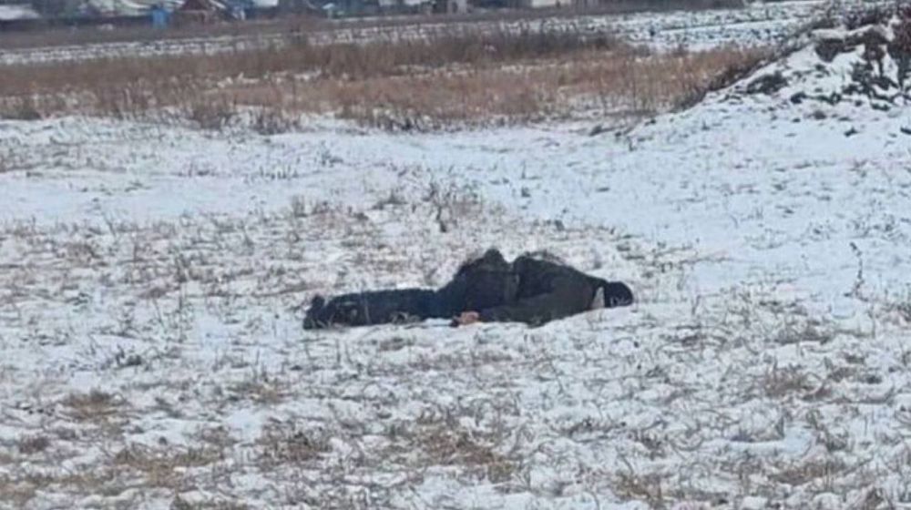 ����� � ����� ���������� ���������� ��������������� ������� ������ � �������� �������