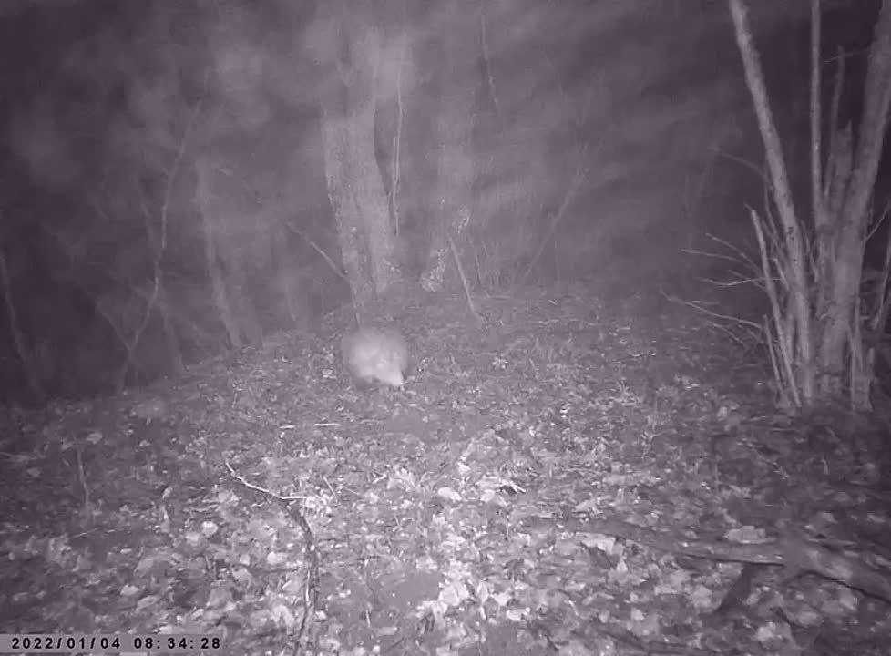 ���� � ����, ������ �� ���� ������ � ������