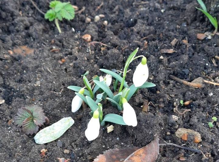 � ���� ��������� ������� �����������