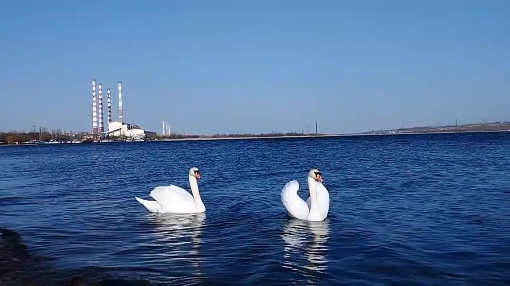 � ������� ���� ���� �������