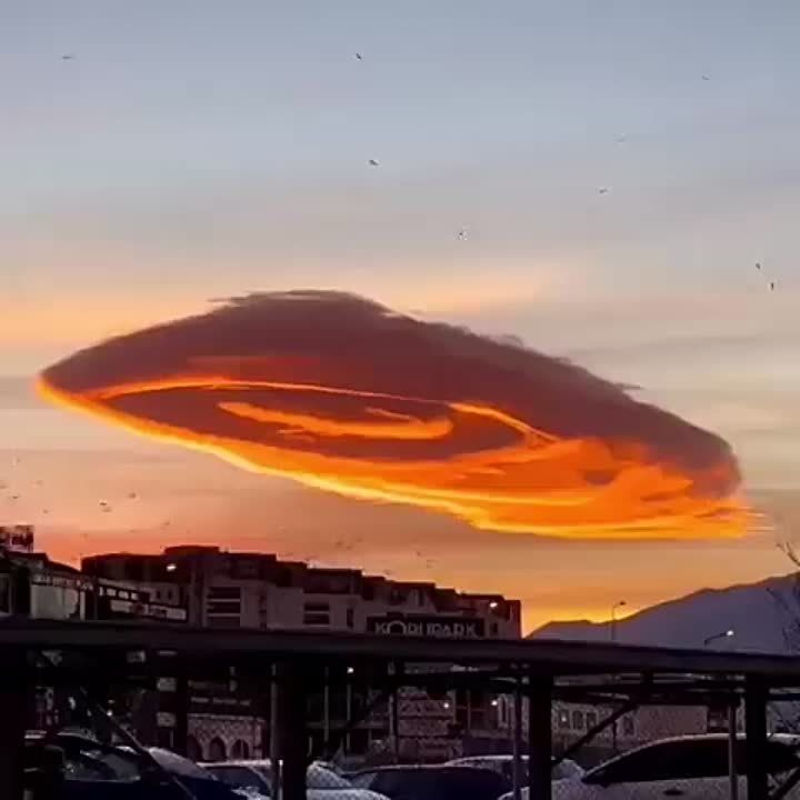 ������ �������� ����� ��������� ���� ����� ��������� �������