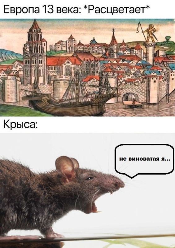 ���������� ������: ����� �� ��������!