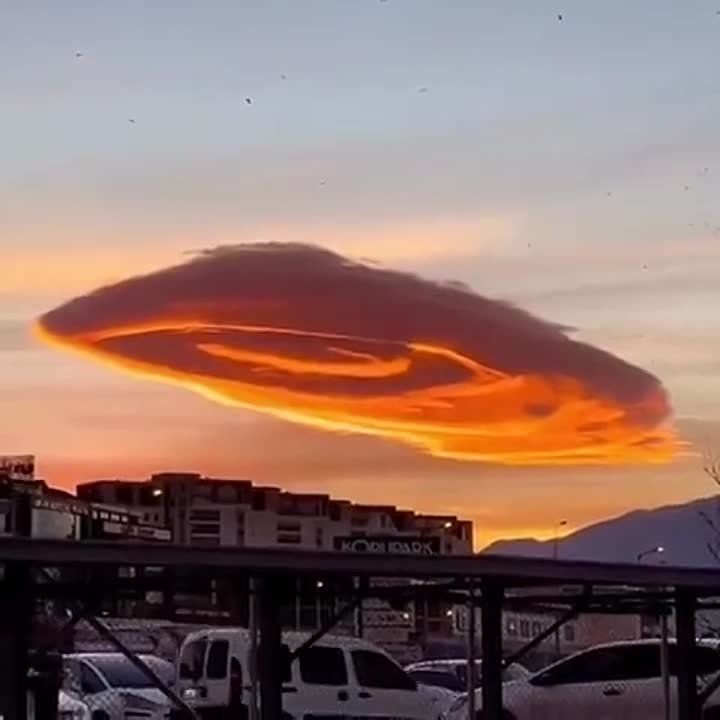 ��������� ������� ������� ��������� � ������