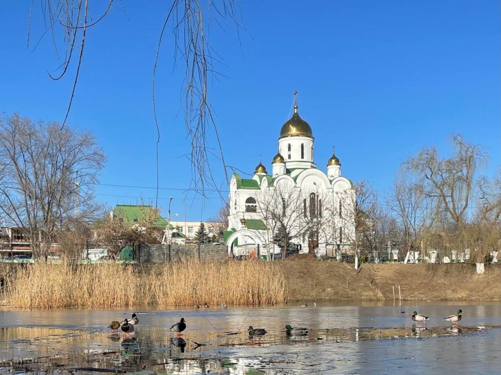 ������� ������������ �������� ��������