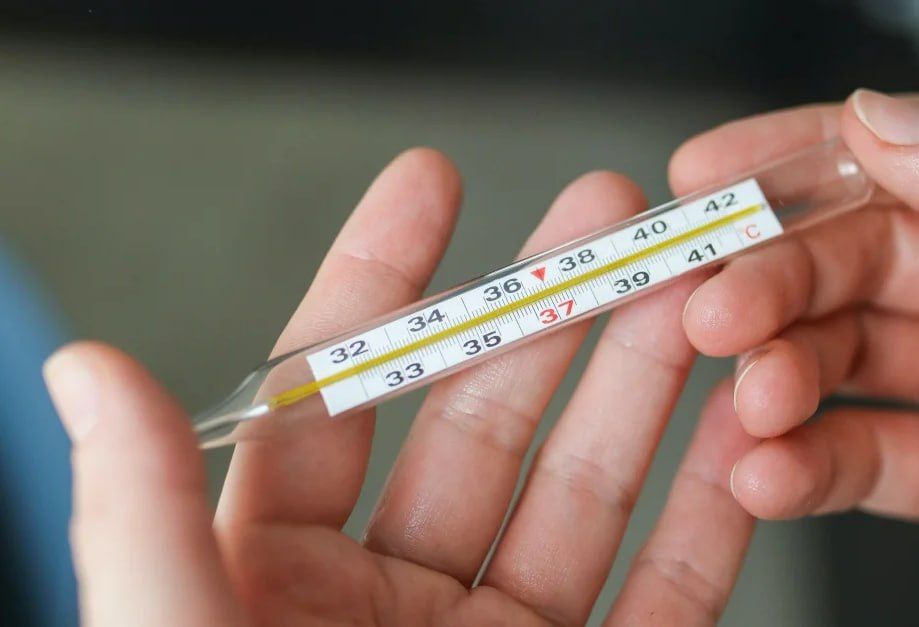 ���� ���� �� 22%. �������� ������ ���������������� ������ ������� � �������������, �������� � ��������������� ������� ����������� ����� ����������� ��� ���������������