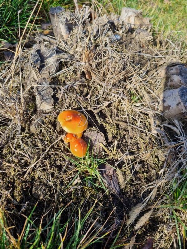 �� ����� � ��������� ����� �����