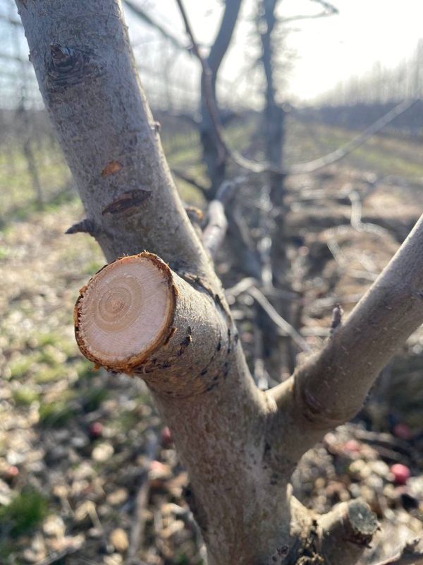 ������� �� ���������� ���� ����� �� ���������