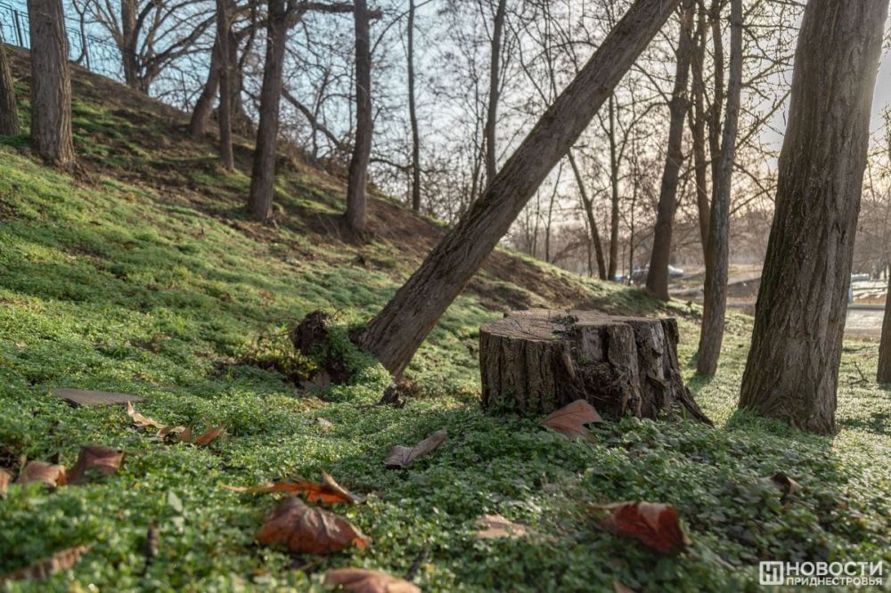 ������� � ������������� +17 ��. ��� ����� � ���� ���� �� ���� �������