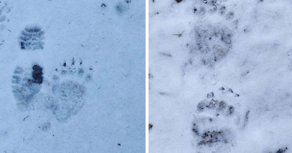 �� ����� ��� �����, ��� � �������� ���������� ����� �������