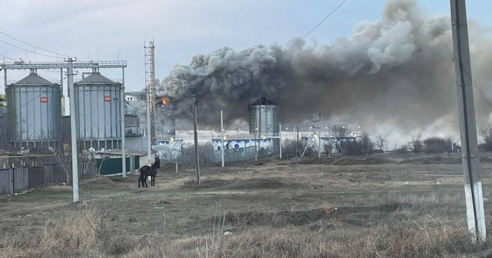 � ����� ������������ ����� �����