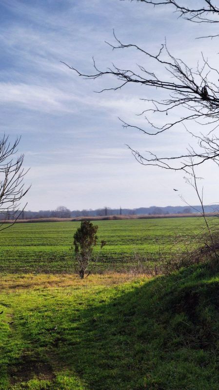 ������� ����������� ������ ������� - � ����������� ��� ������� ����������� �� +11 ����