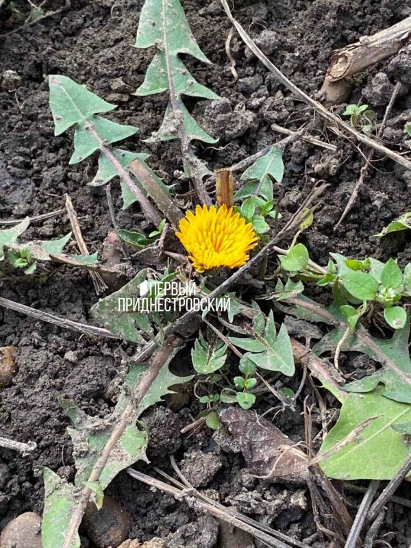 �������� � ���������� �� ��������, ��� ���������� � �������, ������� ������ ������ ������