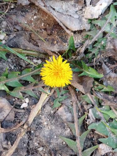 ������� 20 ������. � ���� �������� ������ ���������