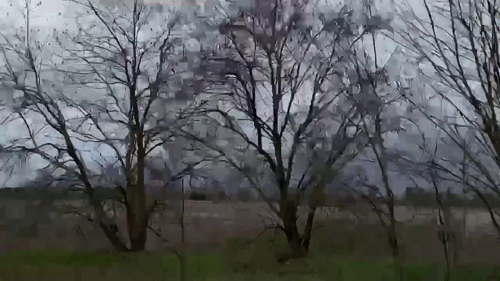 � �������� ������� ����� ����� �����������, ���������� ����� ������ �� ��