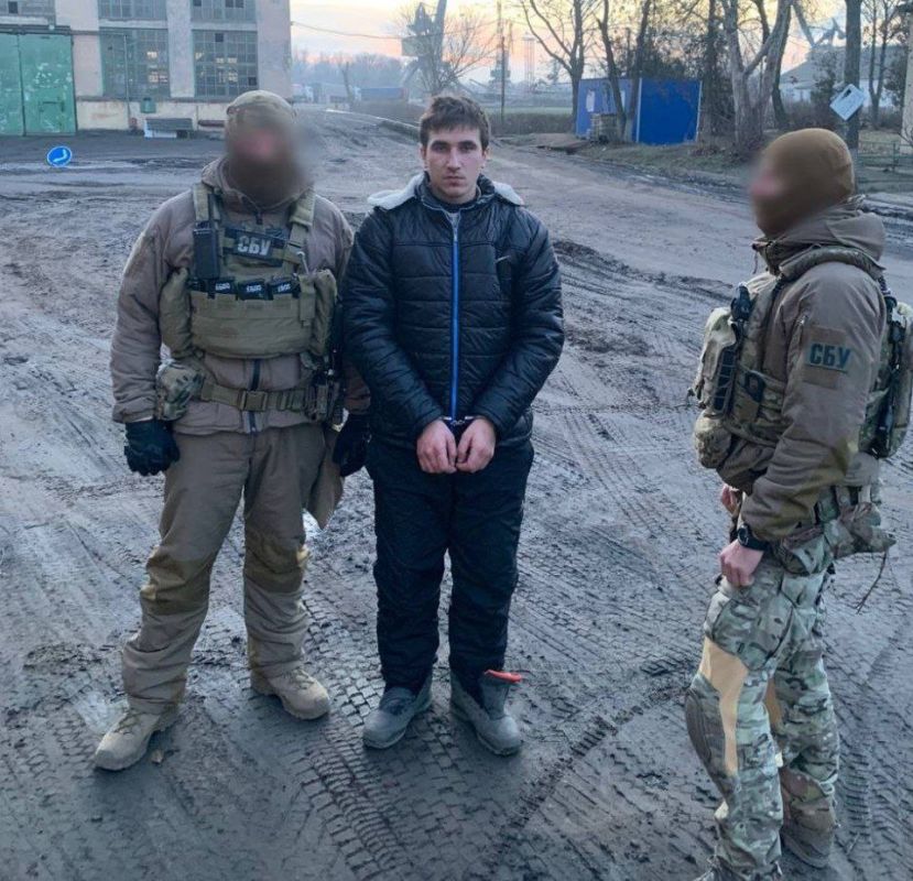 ��� ��������� ��������������� � ������� �������� �������