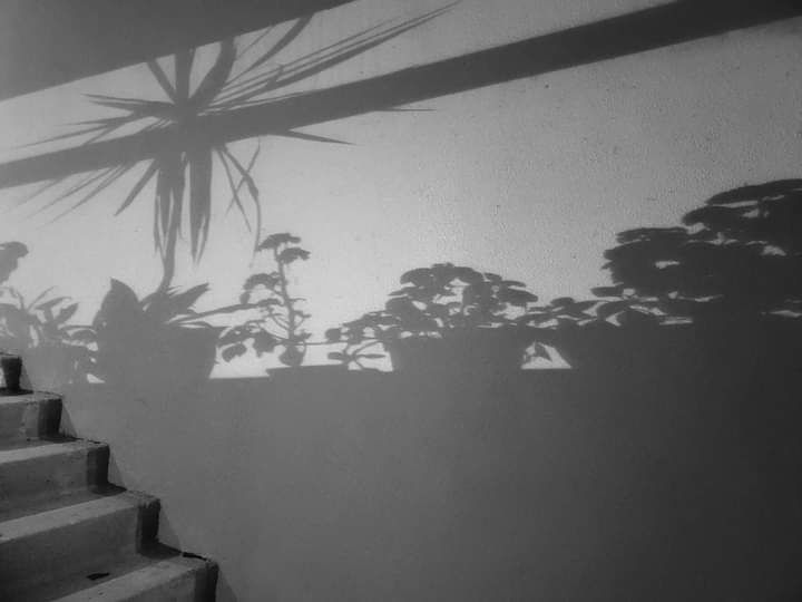 �������. ��������. ����