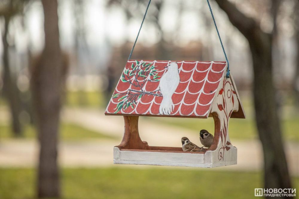 ������ ������ ��������. ���� ������� �� +11��, ����� �� +5��