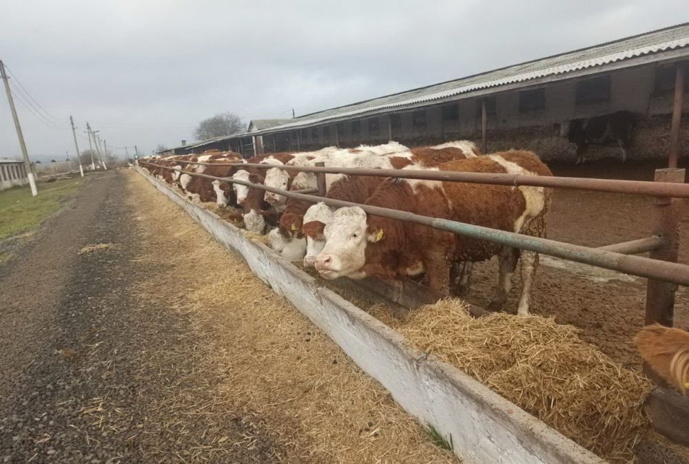 ��������� �������-�������� ����