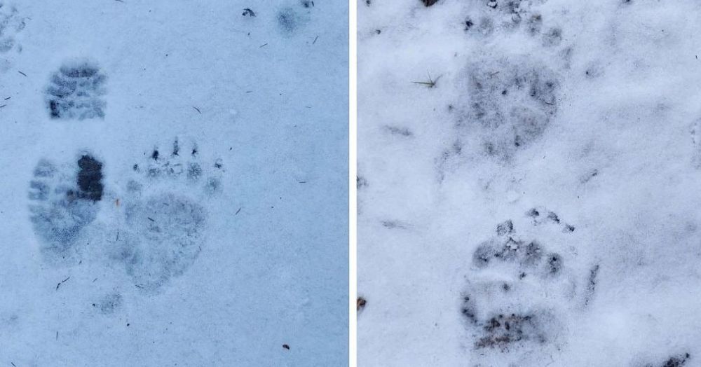 � �������� ���������� �������