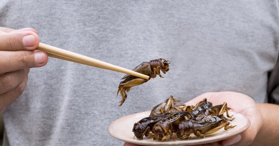 � ������ ��������� ��������� � ������ ������� �������� �����