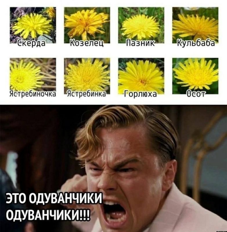 � ����� ���� �� ���������