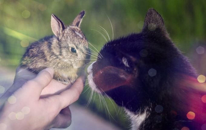 ������ ��� ���?. �� ����� ������������ � ����������������� ����� ����� ����������� � �������� ��������. �� �����? �� ���� ���������� ����������� ��� ��������� ��� ��� ������� �������� �������... � ����