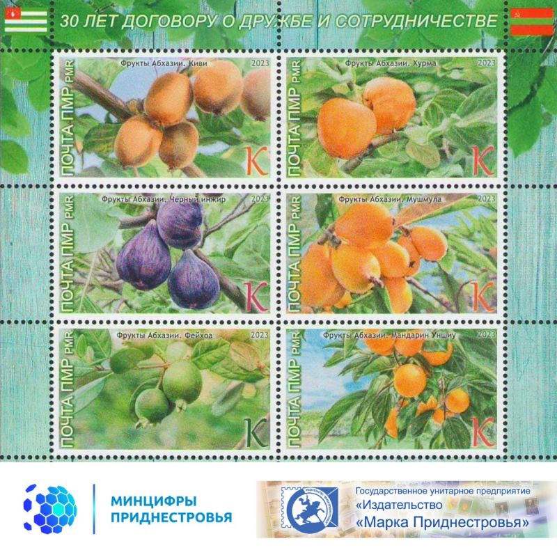 ����������� ����� � 30-����� ������ � ��������