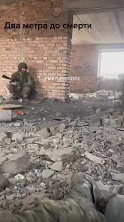 ��� ��� �������� (����������)