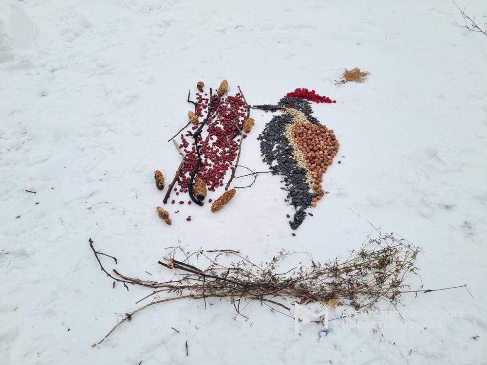 ������� �� ��������� ������� ��� ������ ������ ����